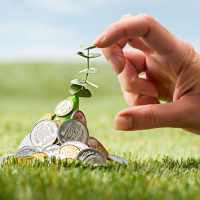 Попит на землю: в Україні спостерігається новий пік продажів